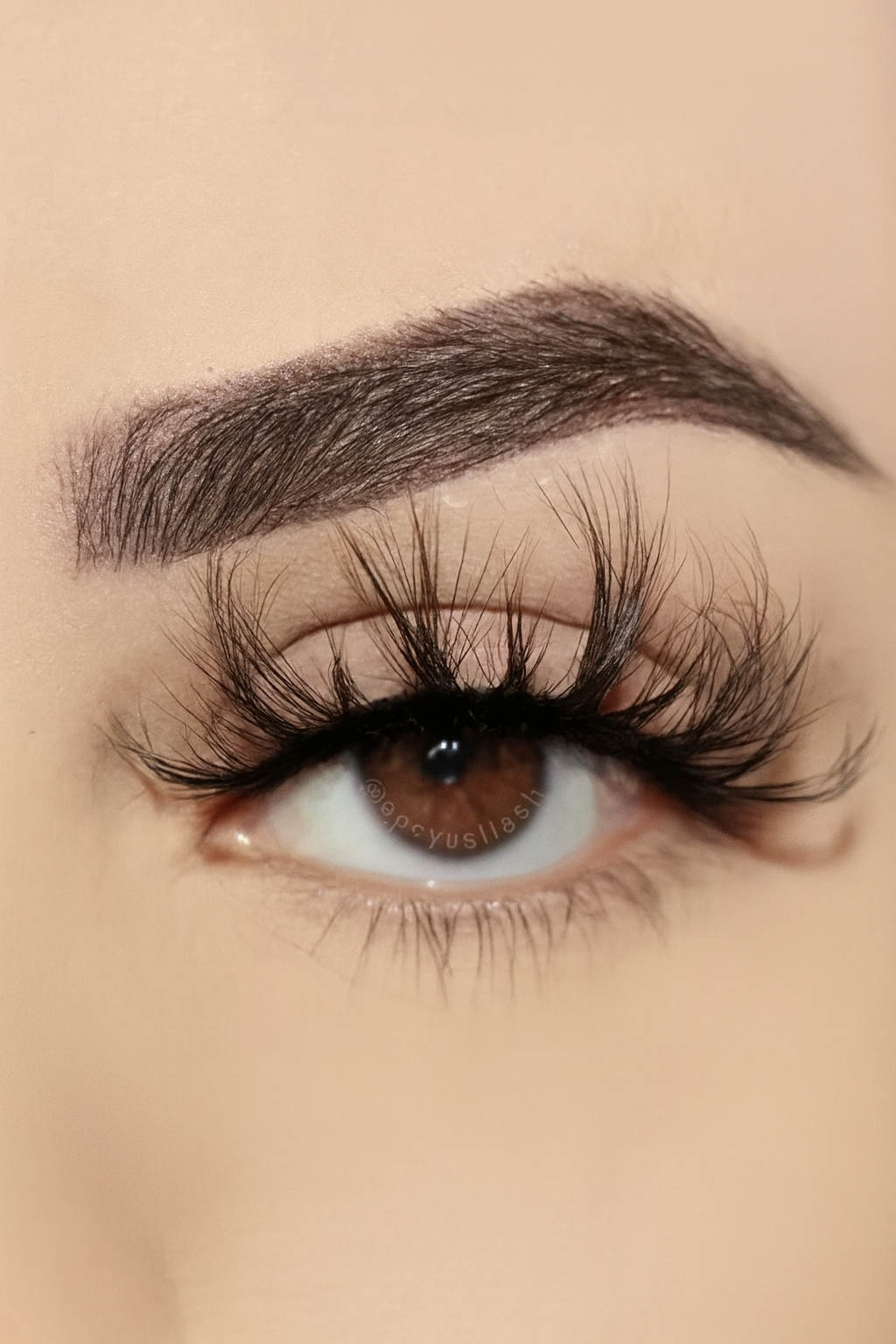 Close-up of an eye with long eyelashes and a neutral background