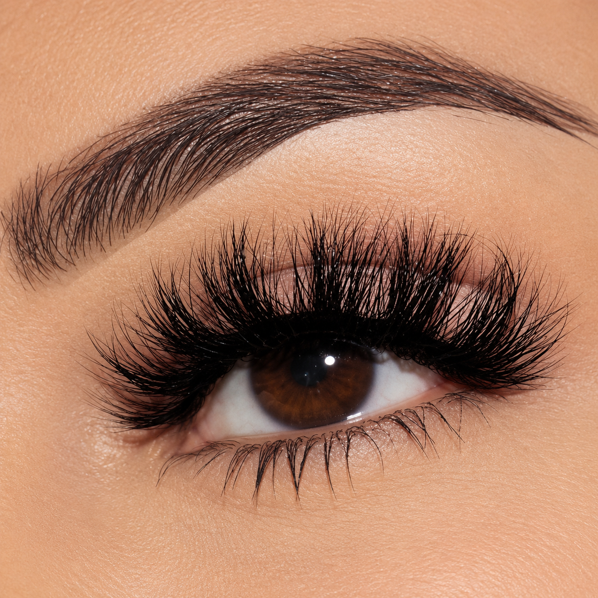 Doll Behavior | 14mm Wispy False Lashes F4