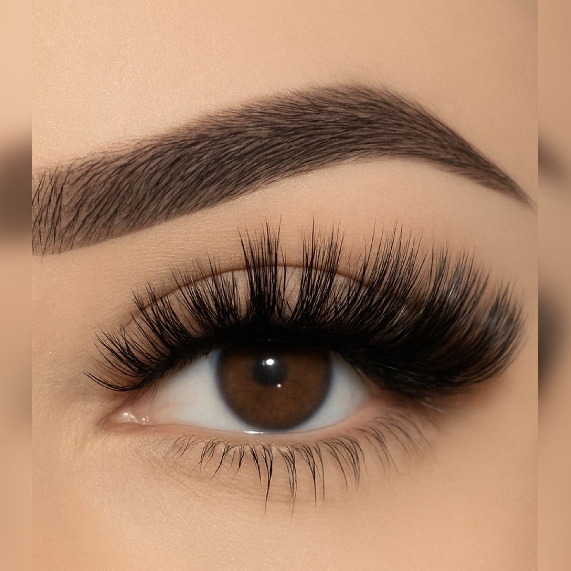 Close-up of a human eye wearing dramatic false eyelashes with long, curled lashes and a neatly shaped eyebrow.