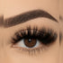 Close-up of a human eye wearing dramatic false eyelashes with long, curled lashes and a neatly shaped eyebrow.