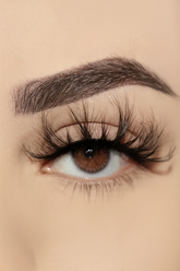 Close-up of an eye with long eyelashes and a neutral background